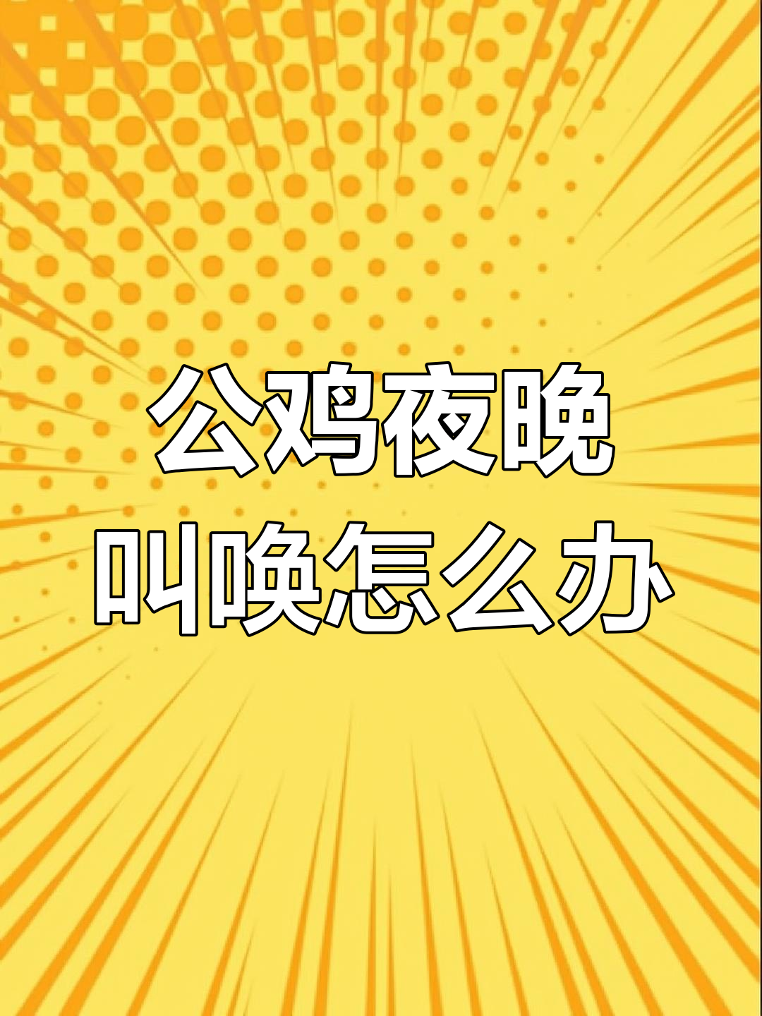 大公鸡天黑打鸣怎么办?教你解决小烦恼