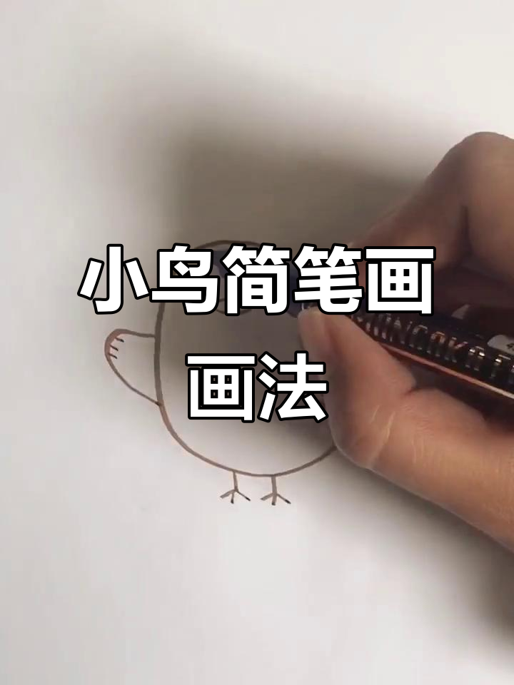 一只小鸟飞来,一起动手画可爱简笔画!