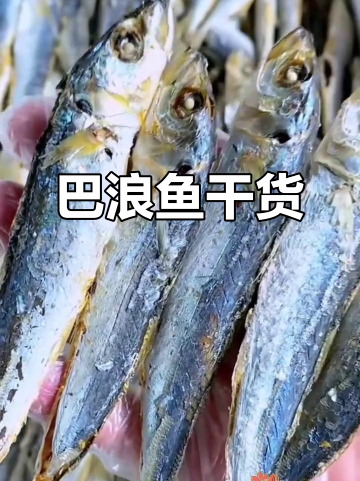 巴浪鱼干货:海鲜美味,轻松享受