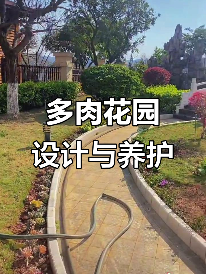 打造花园别墅,多肉植物与景观设计完美结合