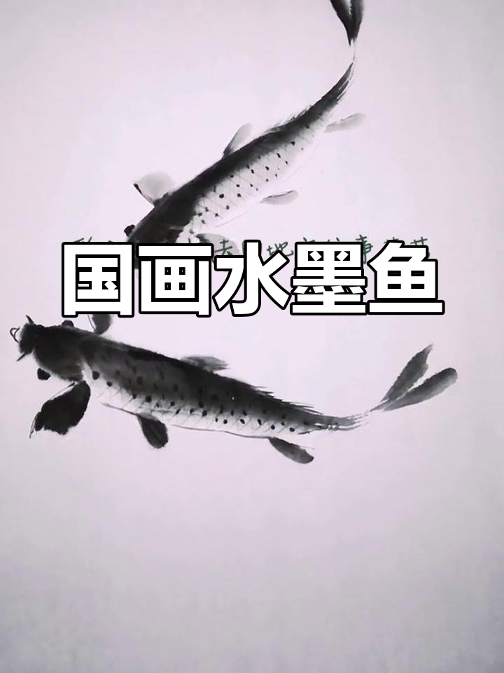 水墨画鱼,国画技艺展现