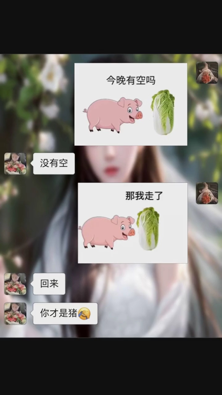 小猪拱白菜来了 每帧都是表情包