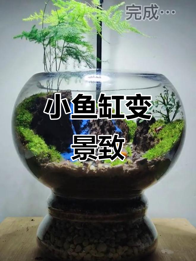 用小金鱼缸打造自然景观,青石、水台与瀑布完美结合