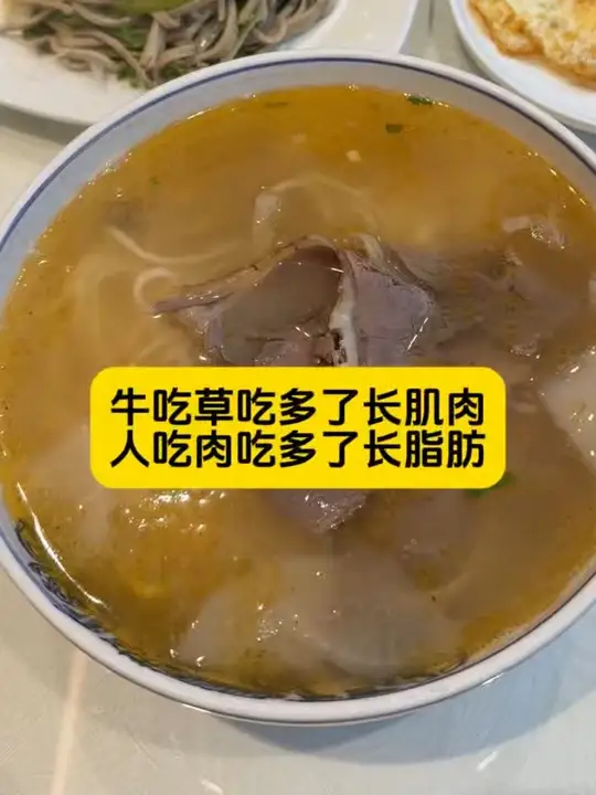 牛吃草吃多了长肌肉，人吃肉吃多了长脂肪，兰州牛肉面真的很好吃！