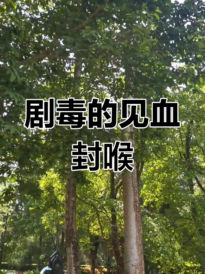 见血封喉树:热带雨林的致命毒源