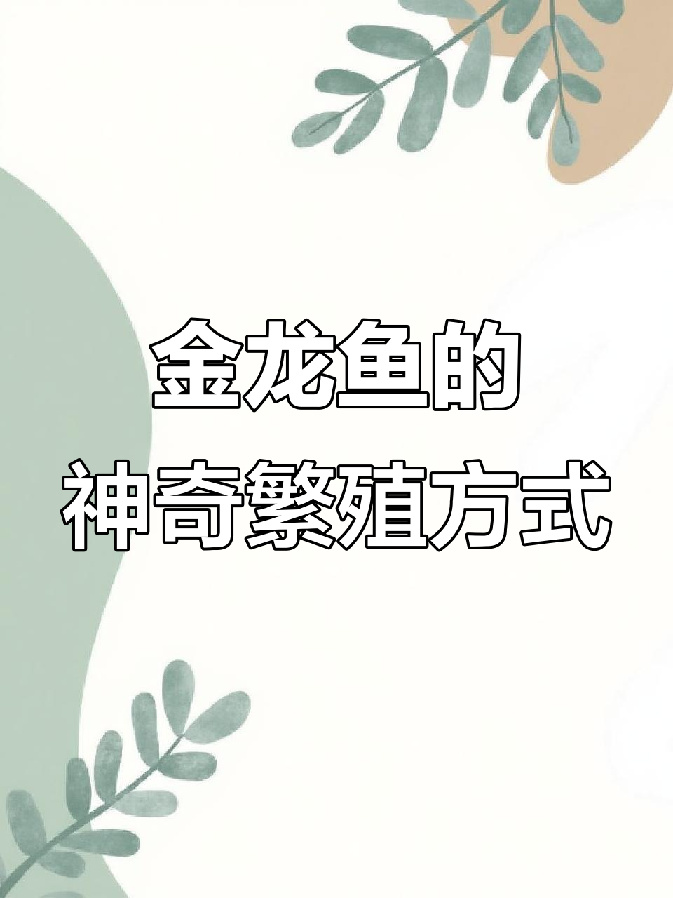 金龙鱼产卵后竟被同伴吞食，孵化过程惊呆主人
