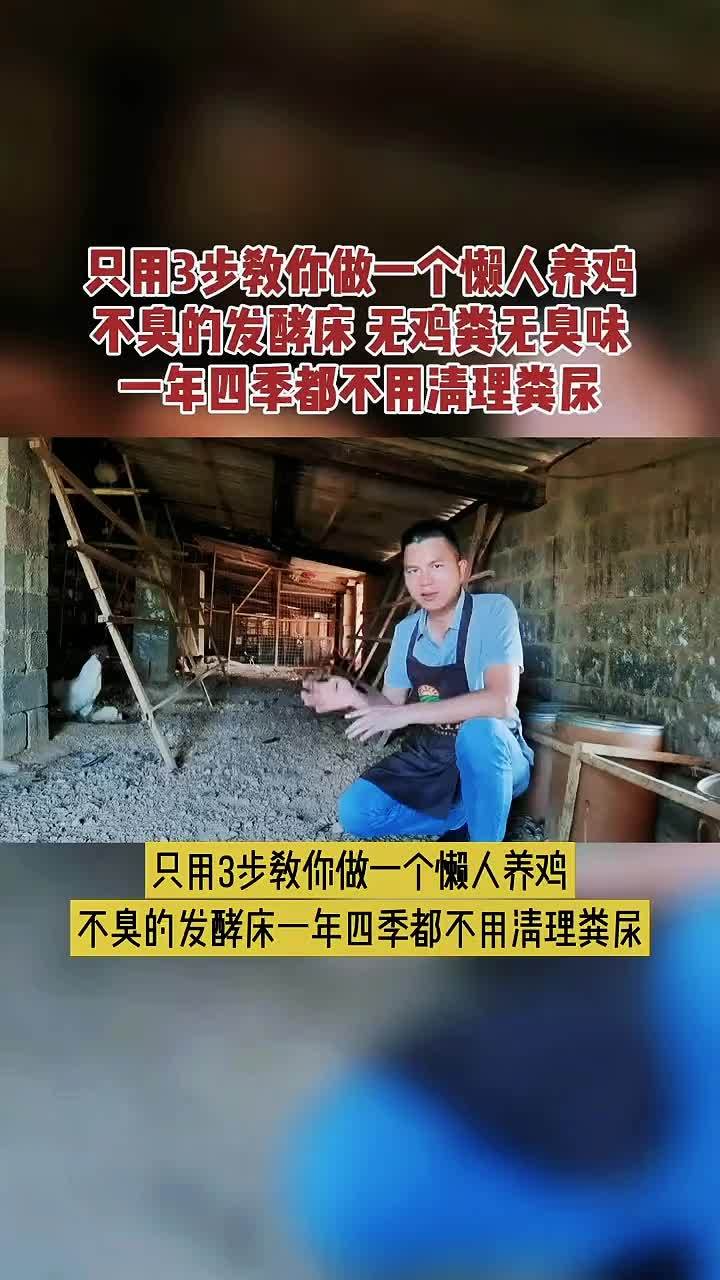 养殖 养鸡 鸡鸭鹅养殖 农村散养土鸡 发酵床 懒人养殖发酵床菌种