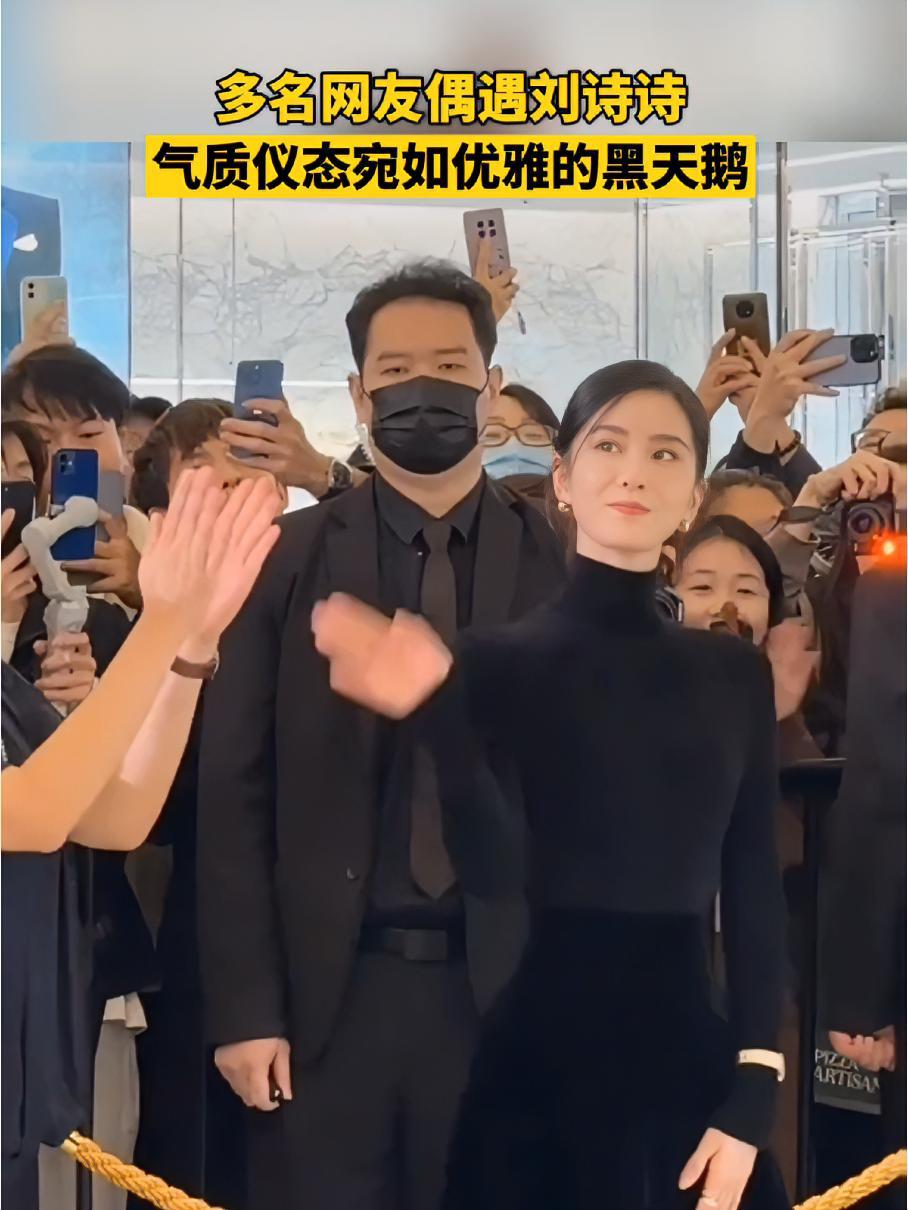 多名网友偶遇刘诗诗,气质仪态宛如优雅的黑天鹅