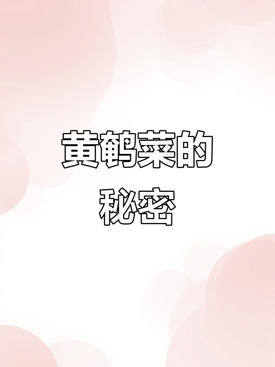 黄鹌菜,农村常见草药,用途广泛,你了解吗?