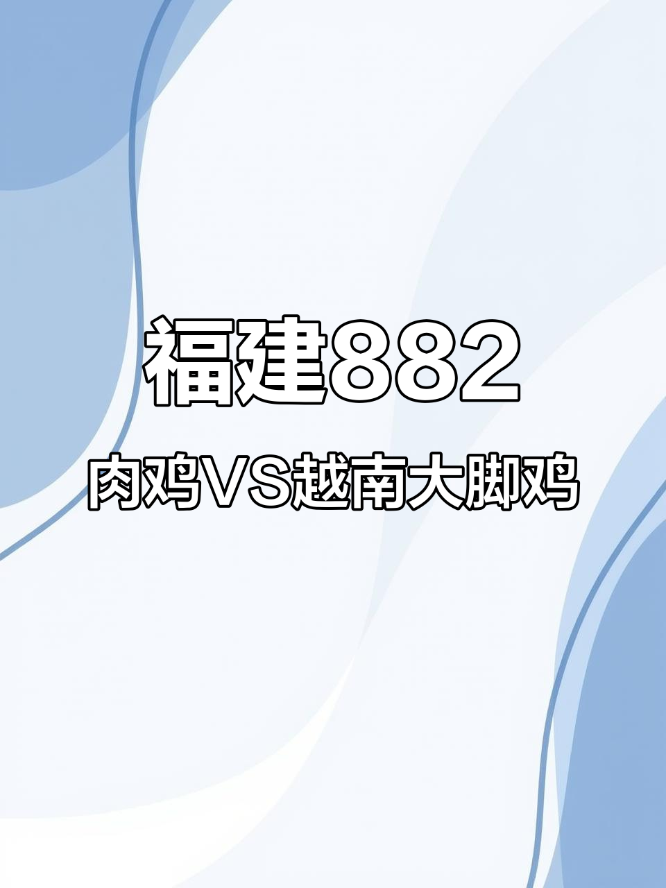 福建莆田882肉鸡与越南大脚鸡的奇妙对比