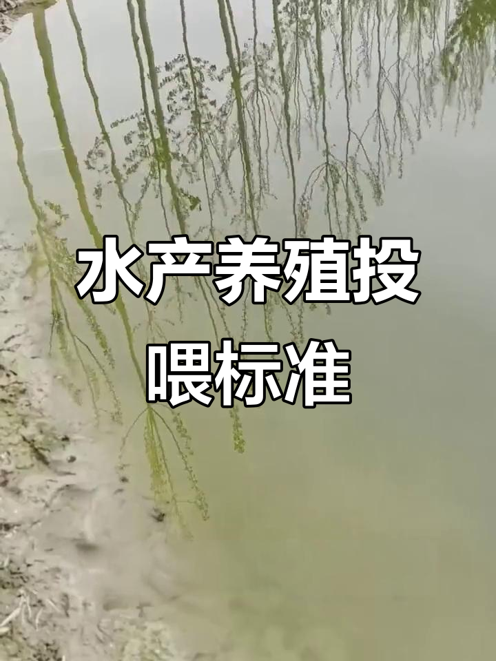 水产养殖投喂技巧大揭秘:如何根据水温调整饲料量