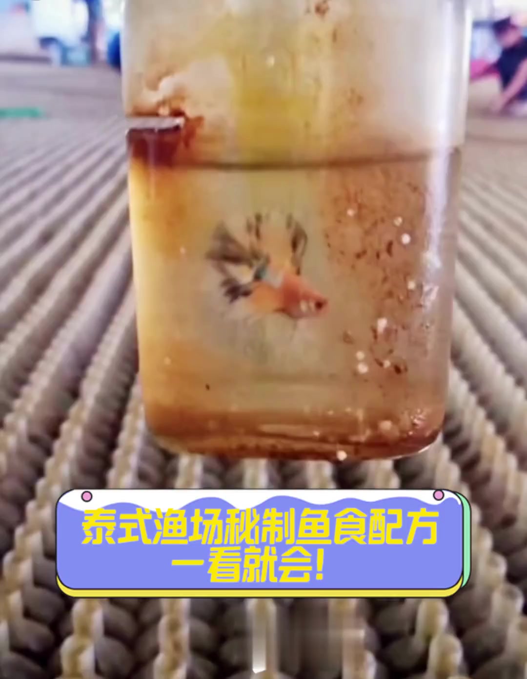 泰式渔场秘制鱼食配方,一看就会!