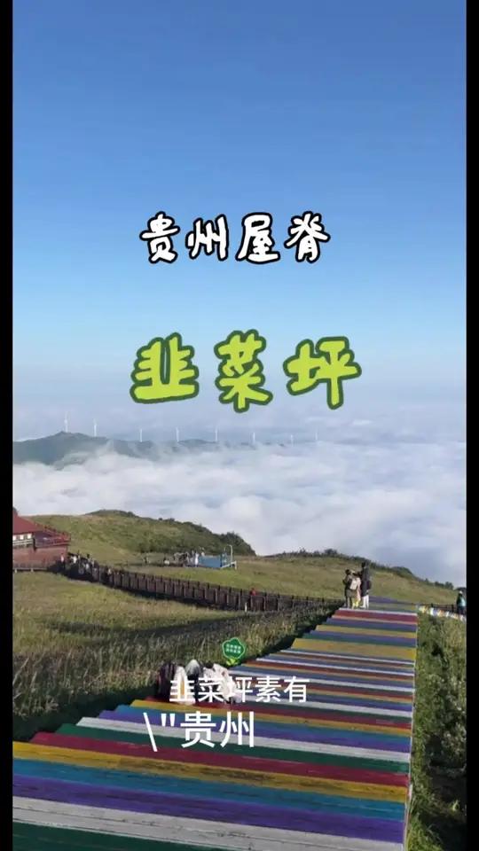 韭菜坪素有“贵州屋脊”之称。夏季凉爽,秋季则化身为壮观的紫色花海,万亩野生韭菜花竞相绽放,