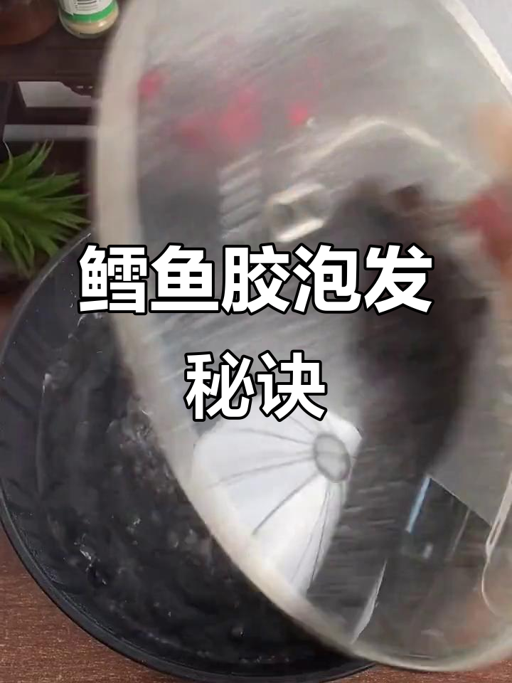 厚鱼胶先泡再蒸,薄型直接上锅