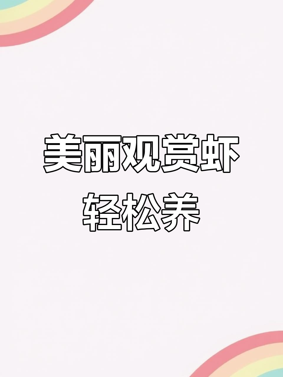 色彩斑斓的观赏虾,让鱼缸更生动有趣