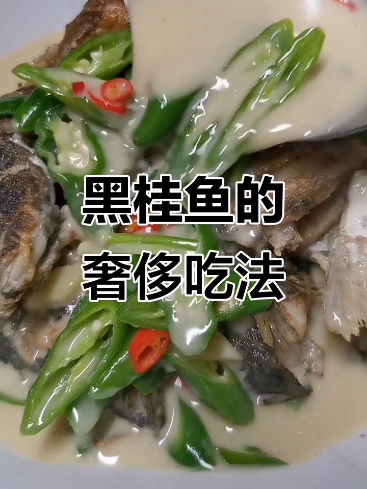 河中黑桂花鱼,汤汁浓郁,第二天煮面更美味!