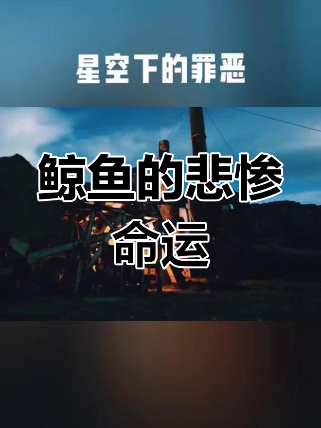 鲸鱼惨遭灭绝,人类与自然的悲剧