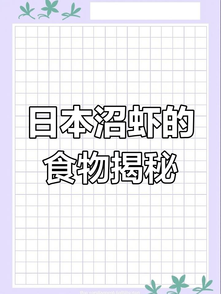 探秘日本沼虾的神秘食物链,它吃什么?