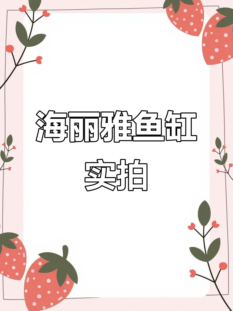 客厅必备免换水鱼缸,实拍效果惊艳!
