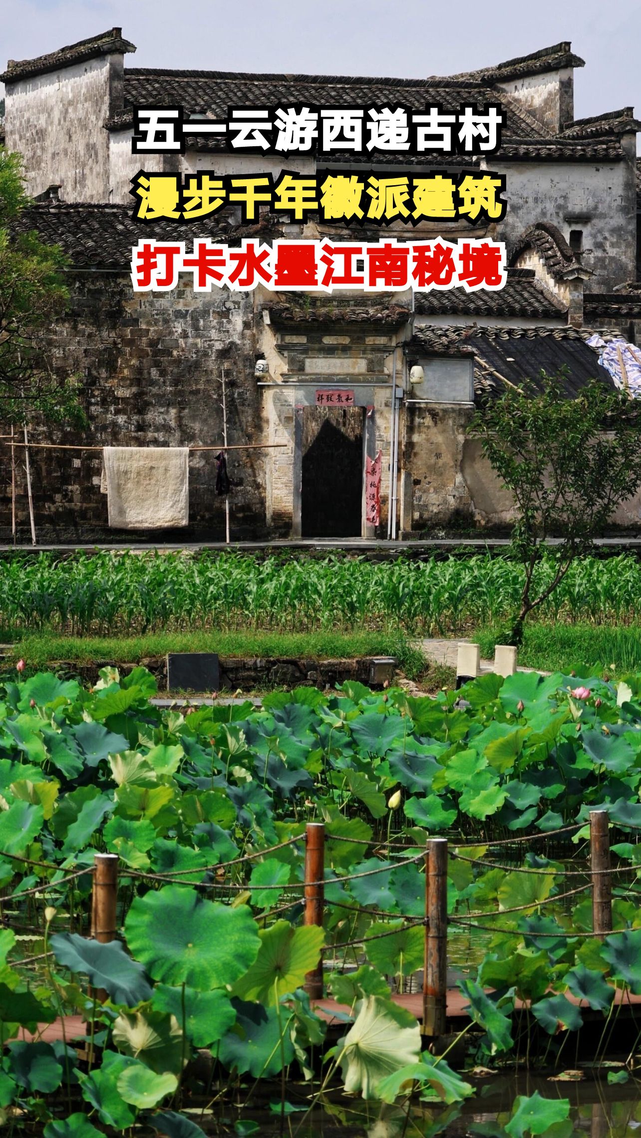 西递古村藏着怎样的千年秘密?跟随镜头揭开徽派建筑的神秘面纱!