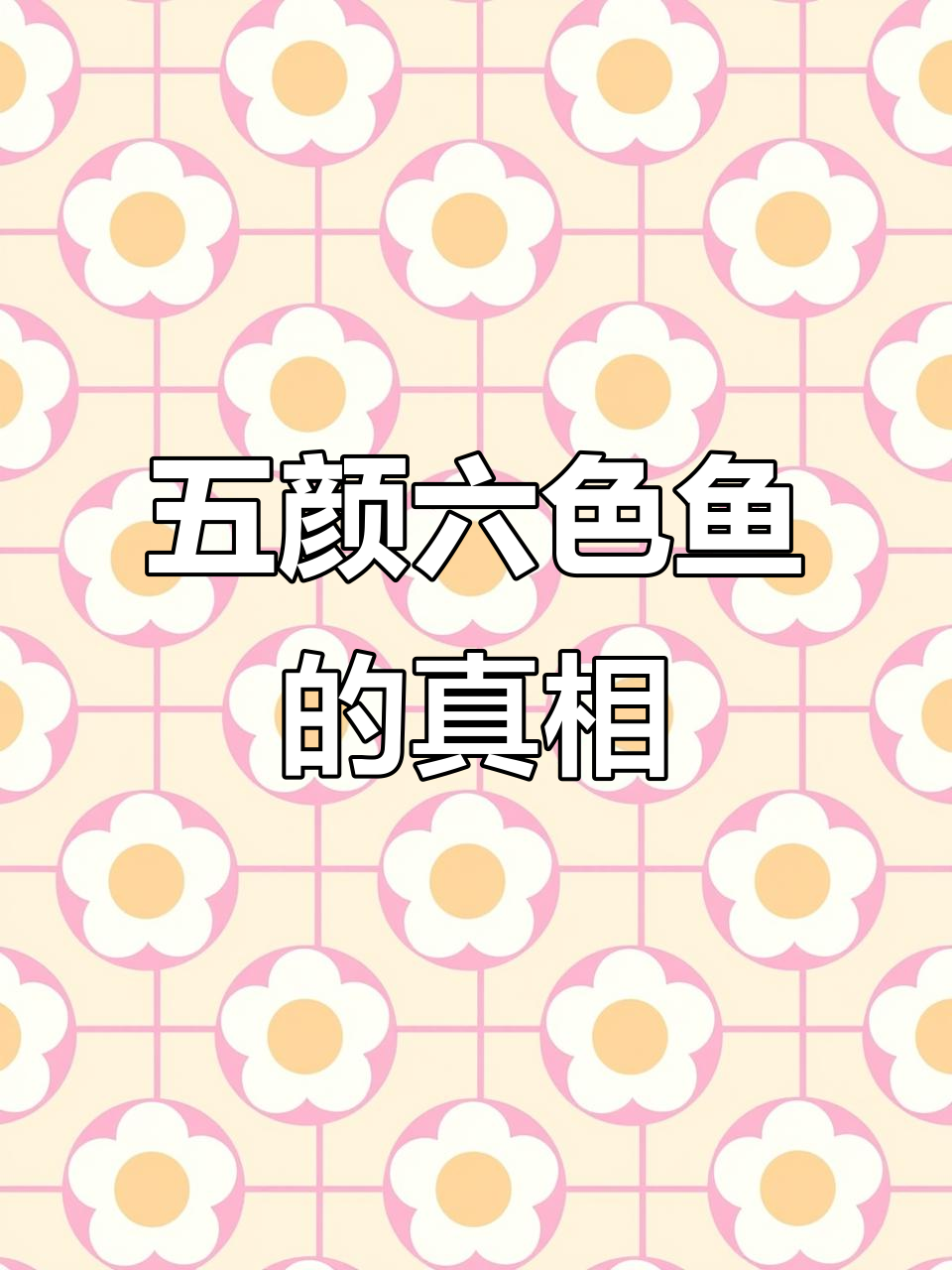 不要买五颜六色的鱼,它们可能是被染色或注射荧光剂