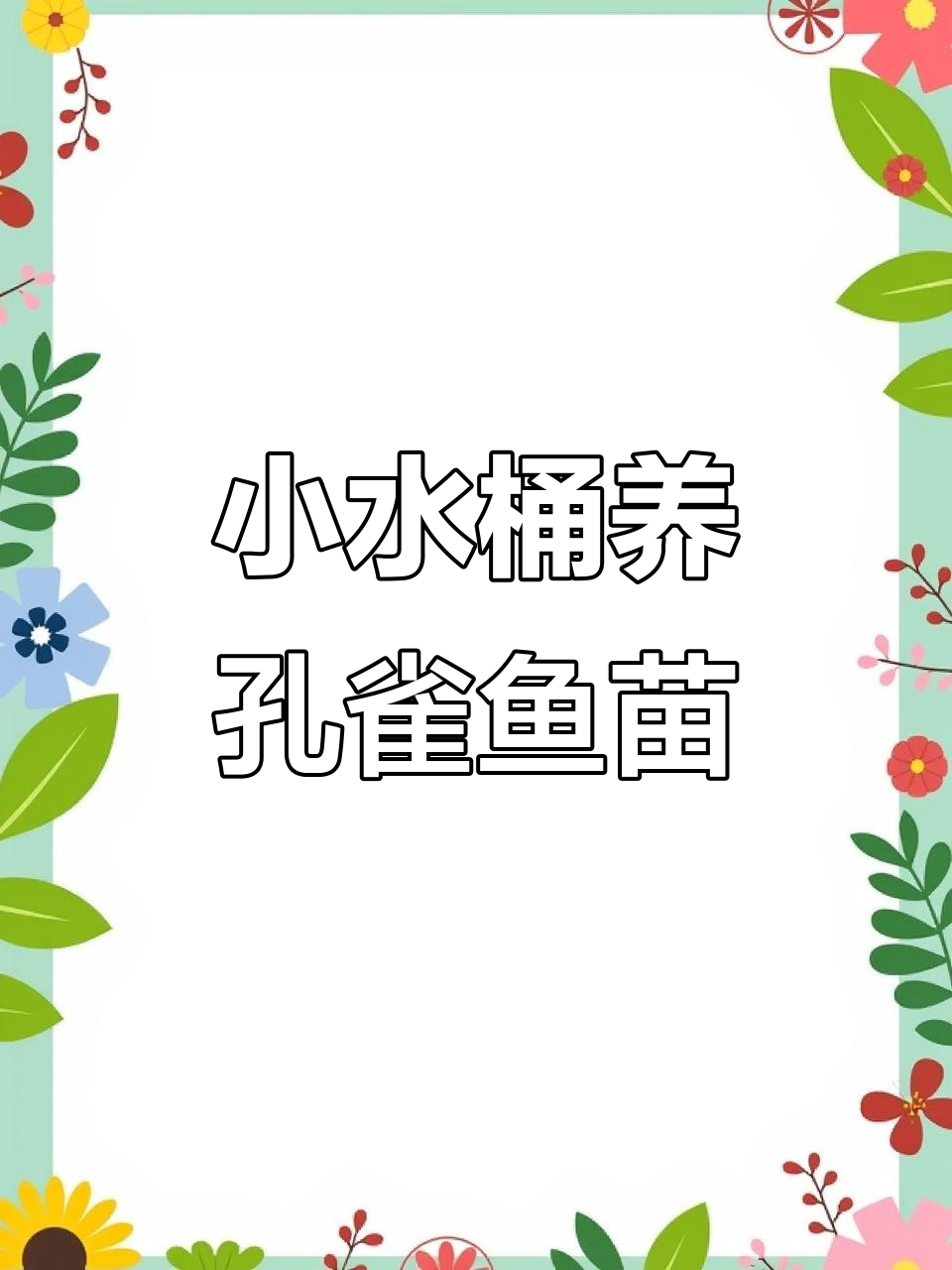 孔雀鱼隔离生小鱼,小水桶养殖技巧大公开