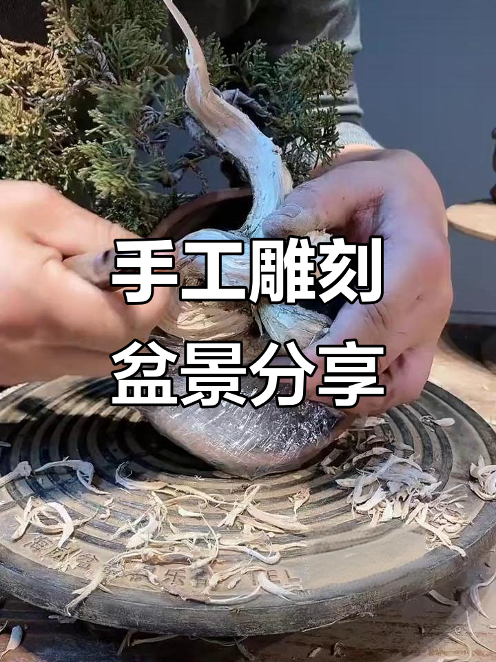 纯手工雕刻盆景艺术,展现匠心与技艺