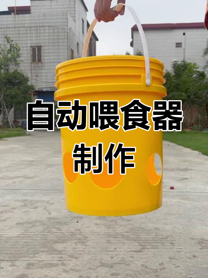 简单自制鸡鸭自动喂食器,轻松省力!