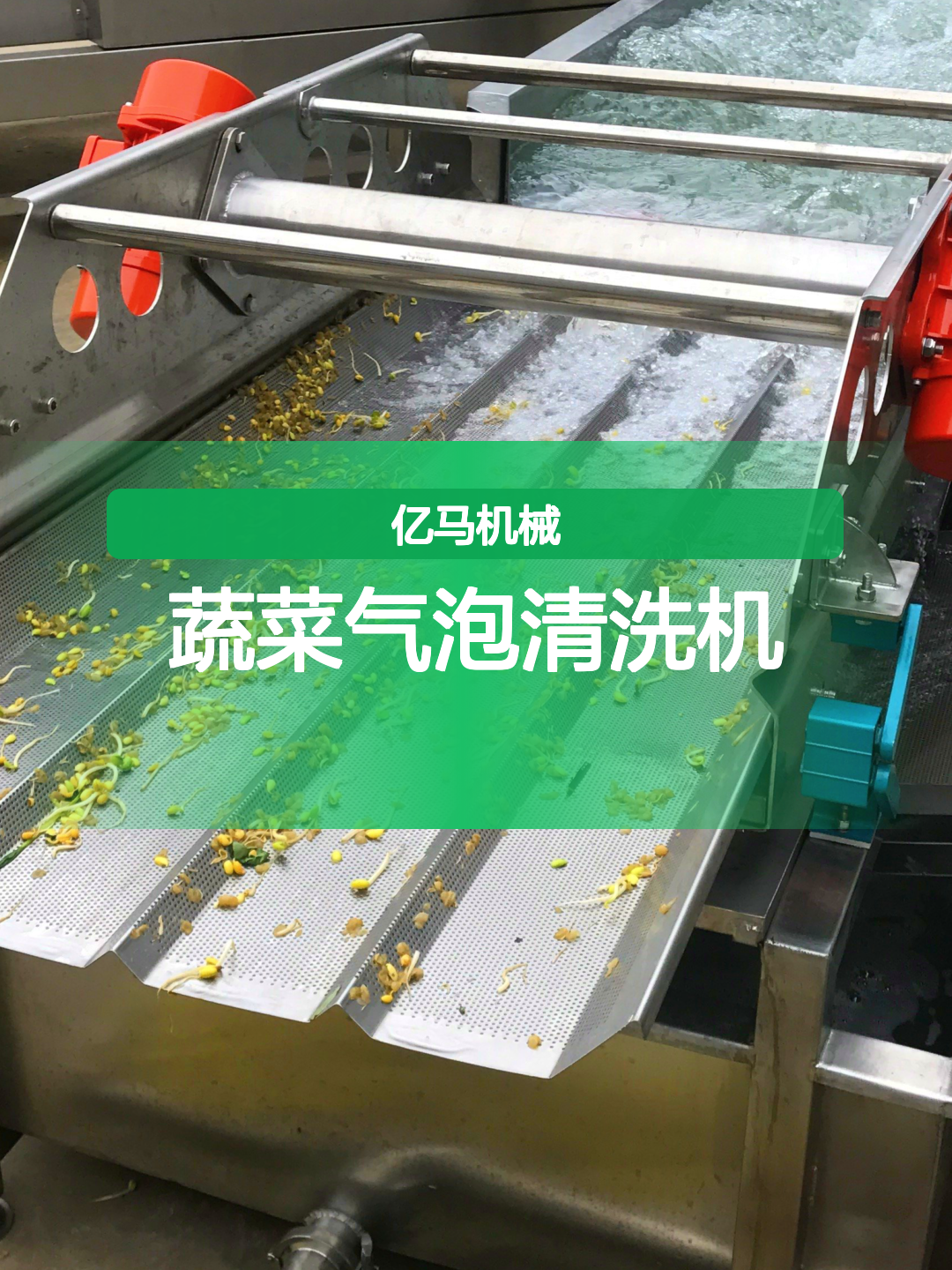 4.2蔬菜气泡清洗机9