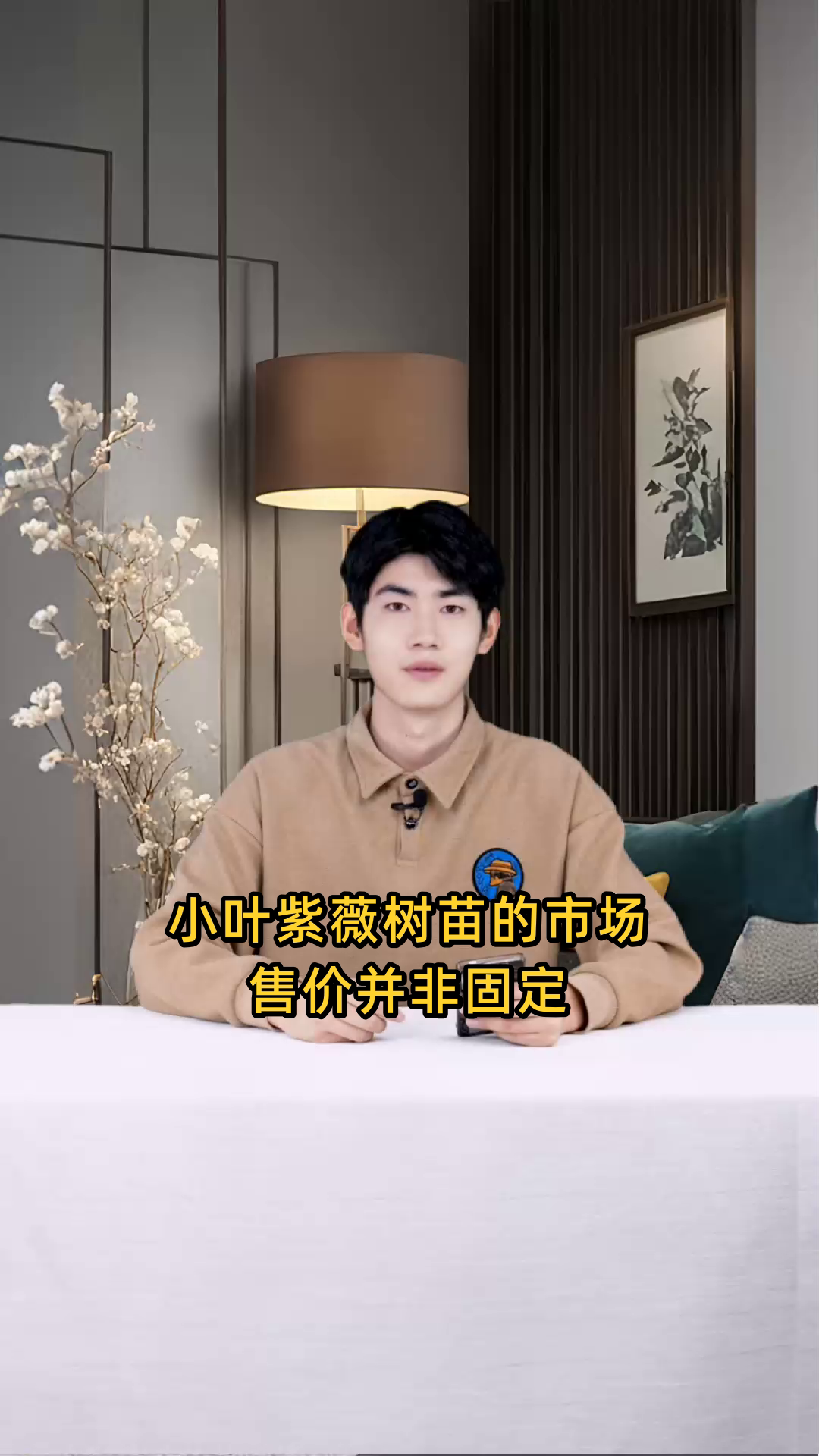 小叶紫薇树苗的市场售价是多少,一棵需要多少钱?