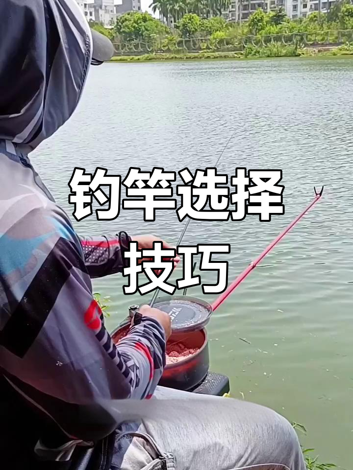 19调和28调钓鱼竿如何选?了解差异,轻松挑选合适款式