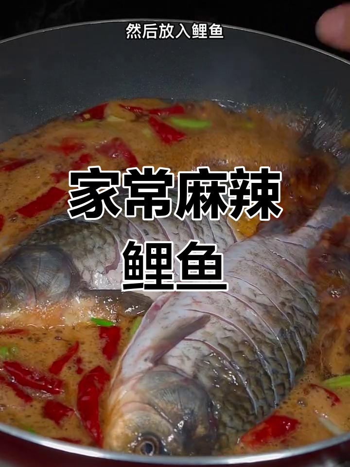 麻辣鲤鱼,简单又美味!教你快速做家常麻辣鲫鱼