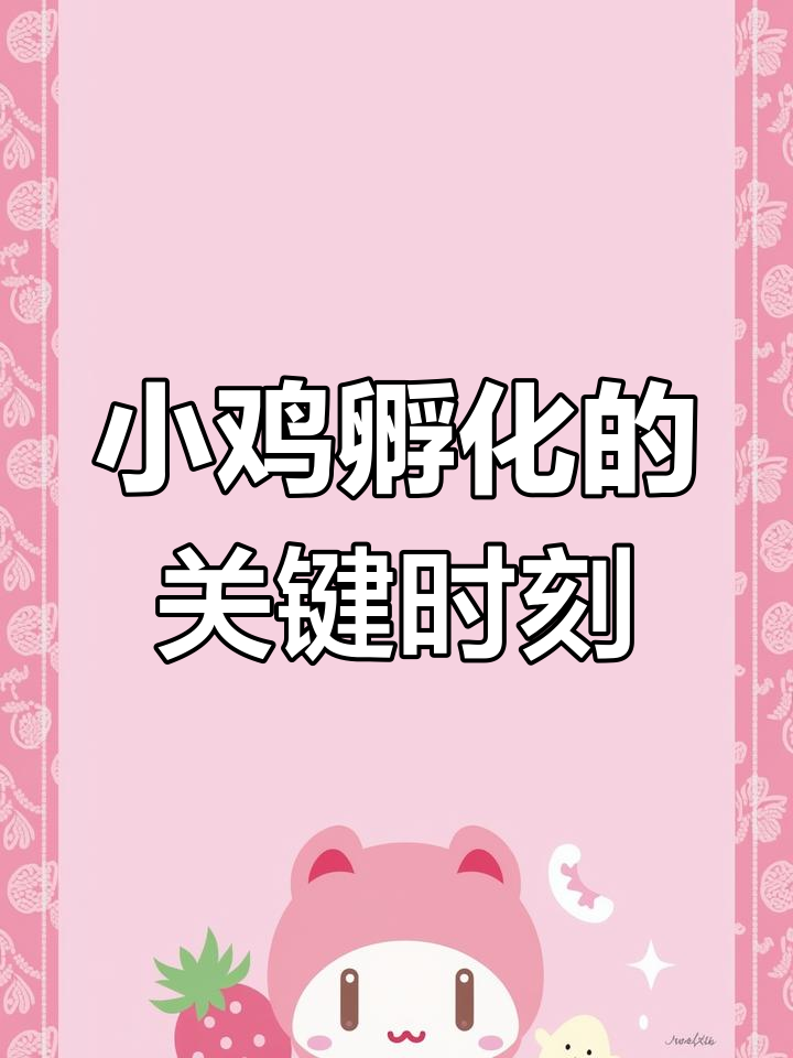 18天照蛋,小鸡孵化倒计时!土鸡蛋的生死时速