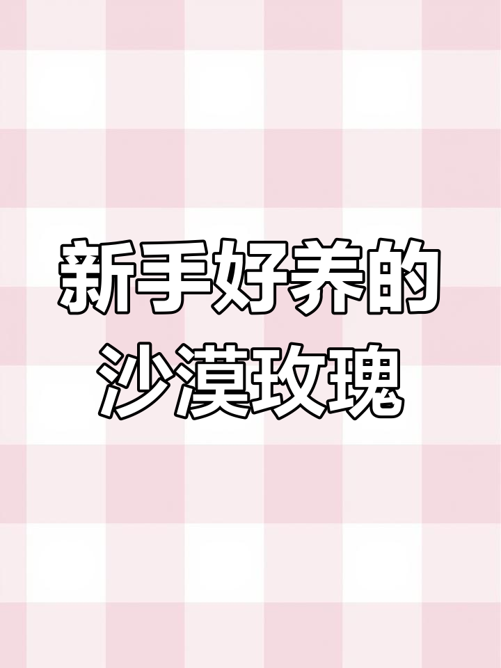 沙漠玫瑰:新手必养多肉,轻松开花如玫瑰