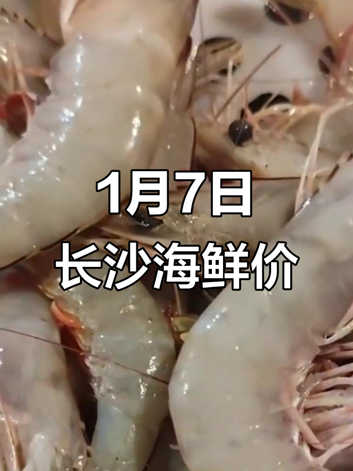 1月7日长沙海鲜市场行情:红鲤鱼、基围虾价格大揭秘