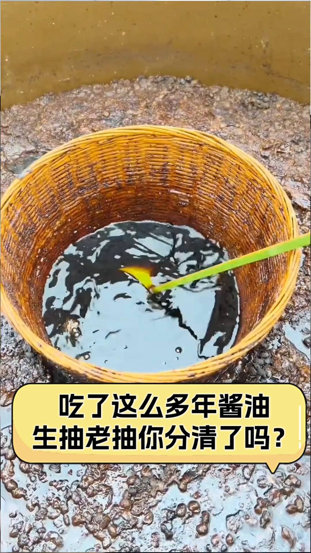 吃了这么多年酱油,生抽老抽你分清了吗?