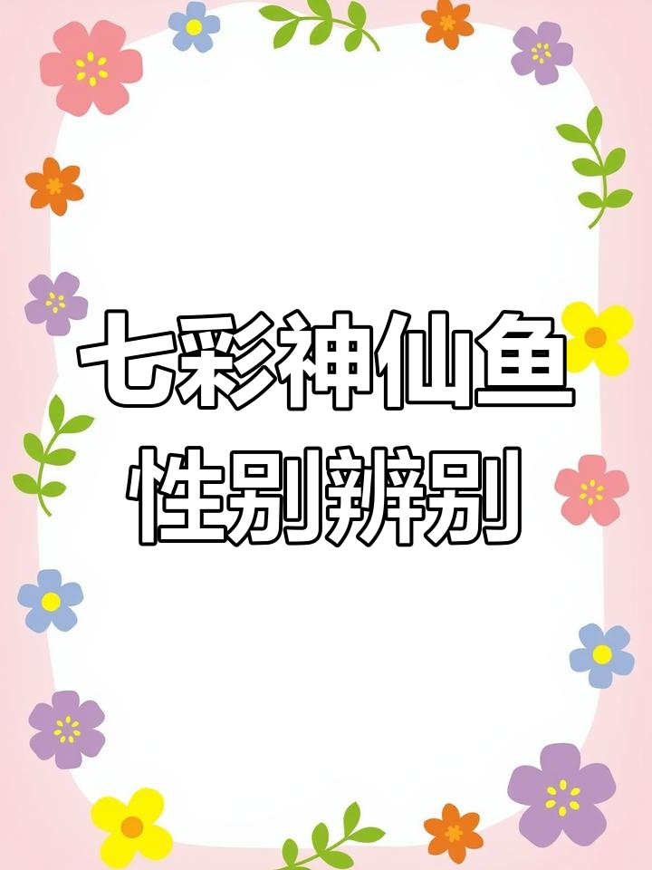 如何准确分辨七彩神仙鱼的雌雄