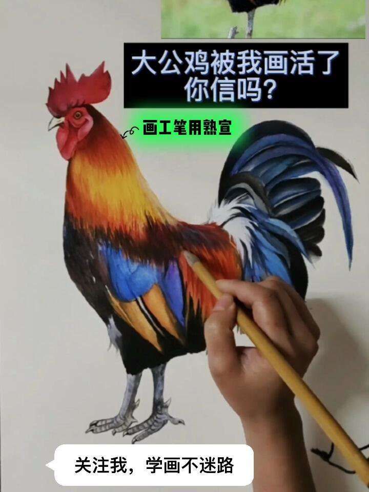大公鸡被我画活了,你信吗?不信进来看