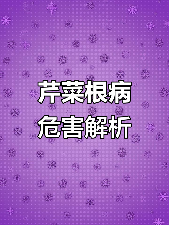 芹菜根部病害大揭秘,农民朋友必看!