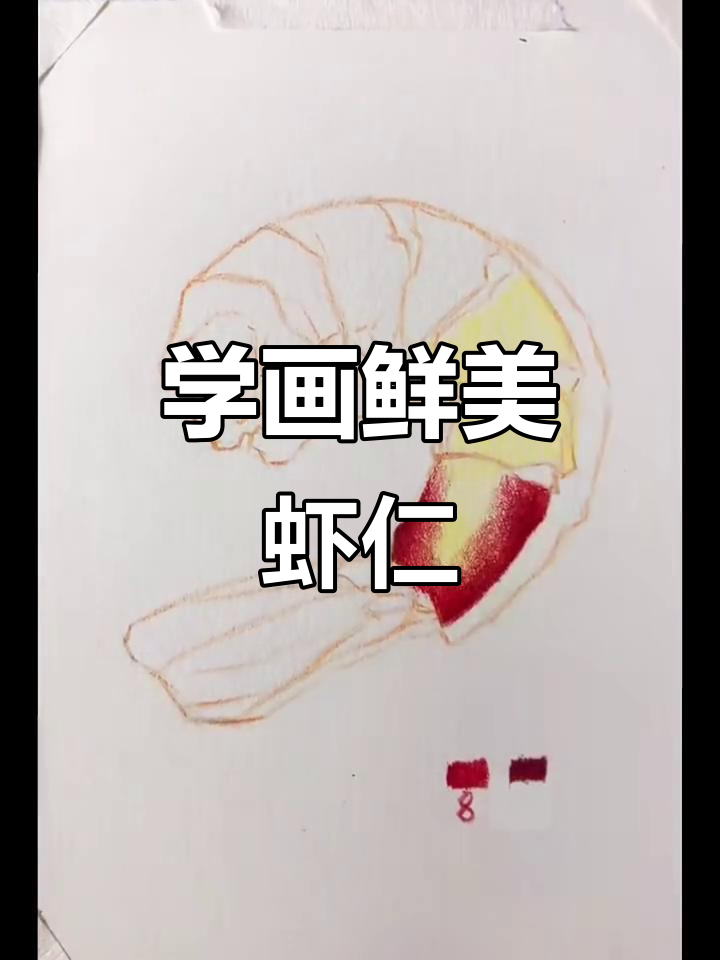 彩铅画美味虾仁,简单又逼真!