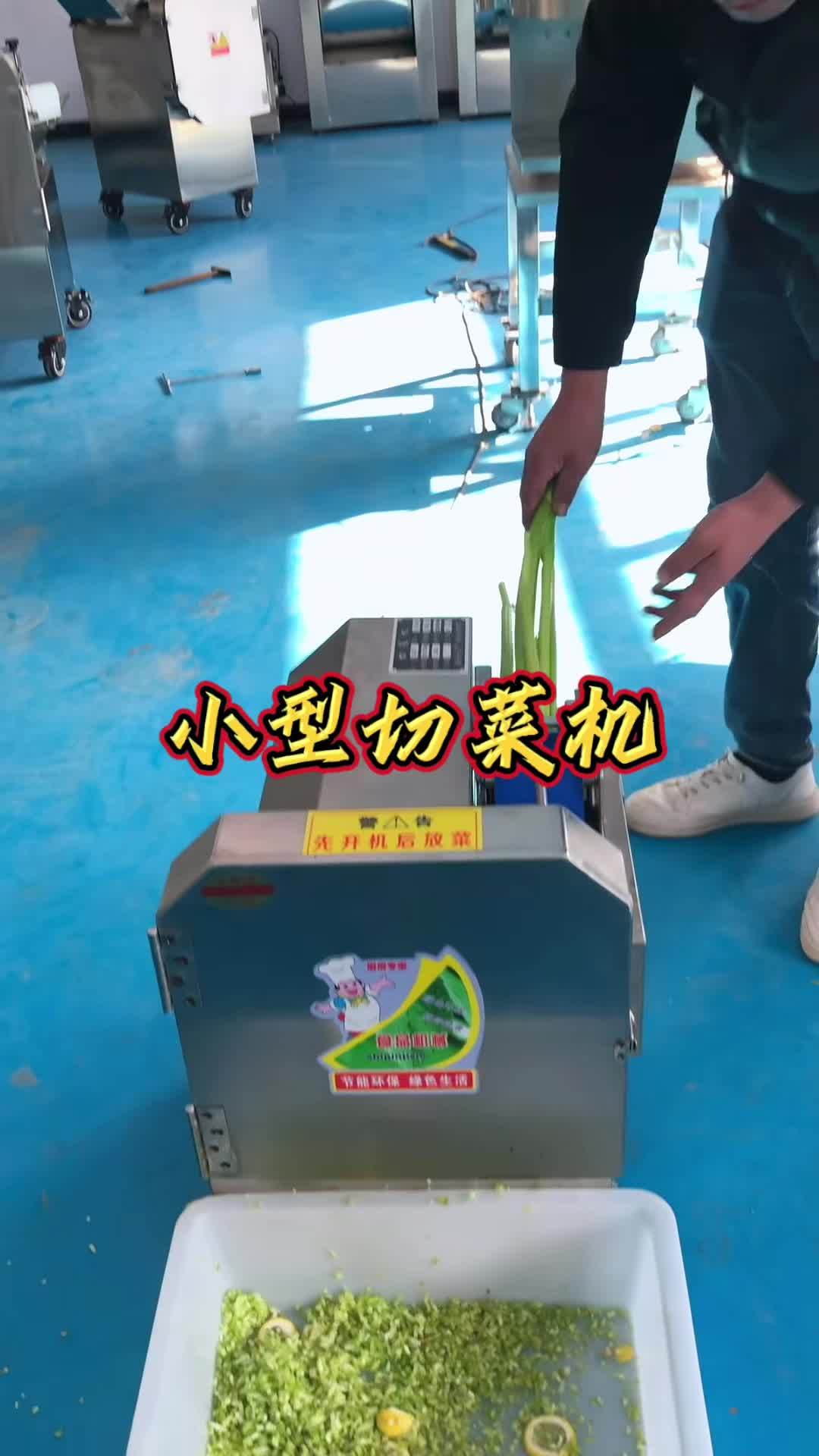 小型台式切菜机切芹菜碎做饺子馅 切菜机 小型切菜机 多功能切菜机切丁切片切丝 切菜机厂家