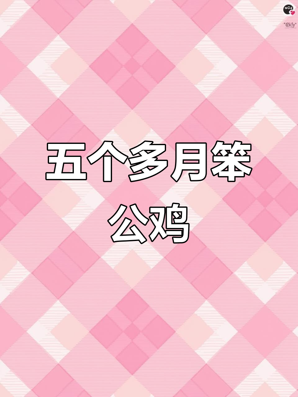 五个月生态散养笨公鸡,成长全过程大揭秘