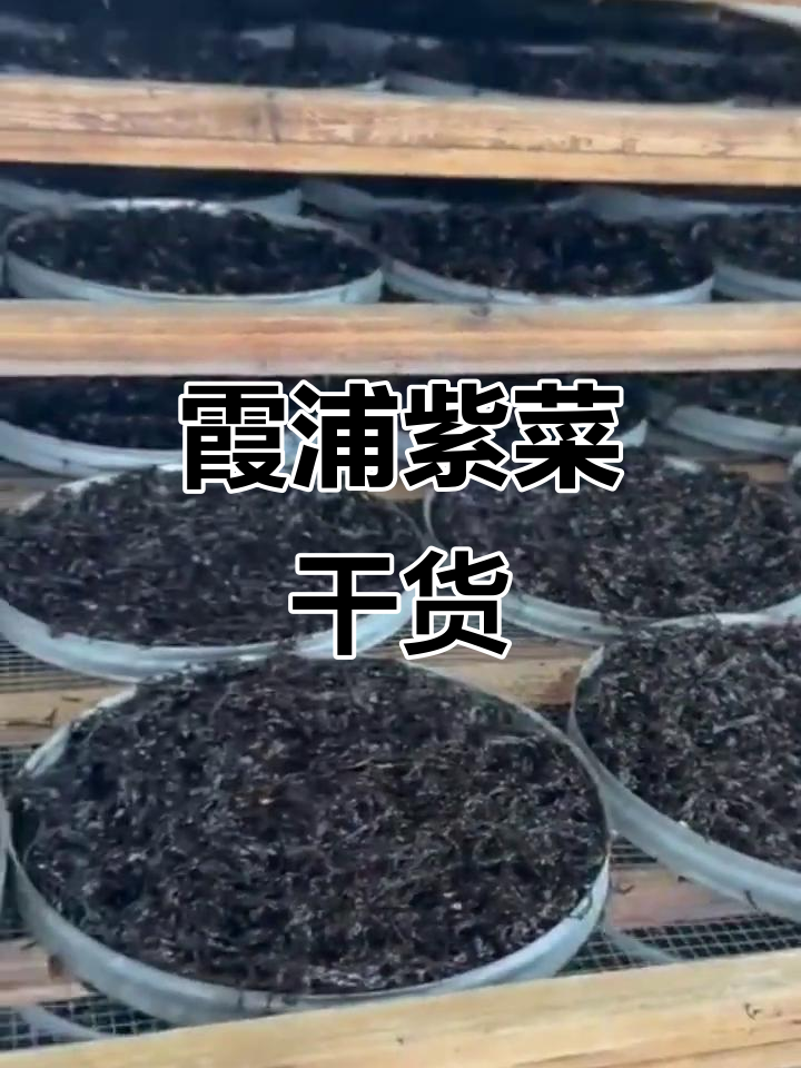 福建霞浦特产紫菜干货,圆饼状美味尽享