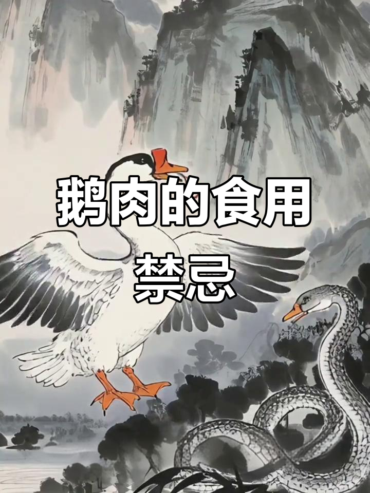 鹅肉为何不能乱吃?了解背后的养生秘密