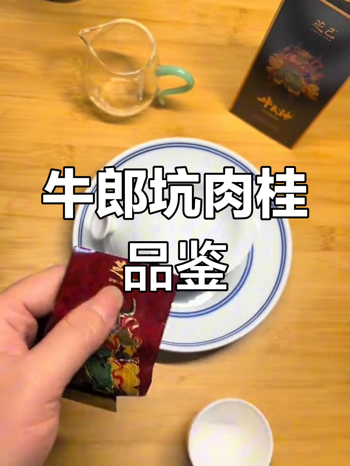 中火偏下肉桂茶评测:口感与品质分析