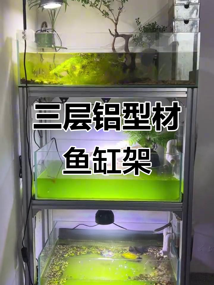 铝型材鱼缸架定制指南,轻松打造三层稳固结构