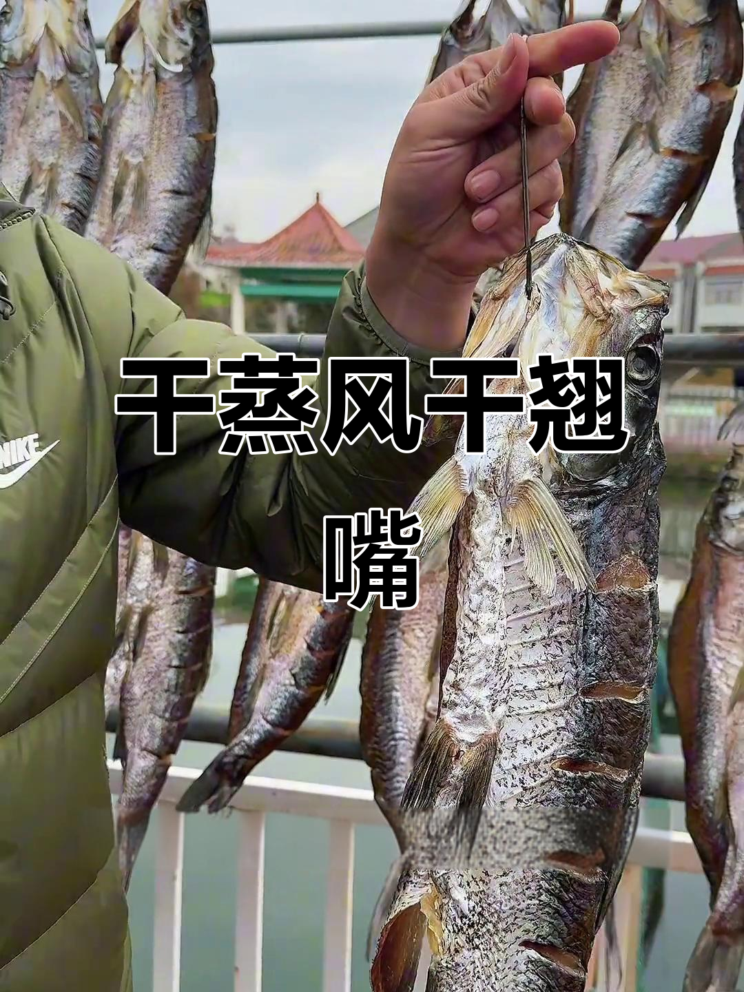 风干翘嘴鱼,简单蒸制美味十足,麻辣鲜香让人停不下来