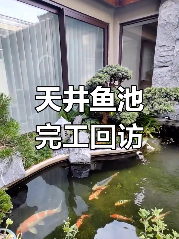 私家花园天井鱼池设计回访