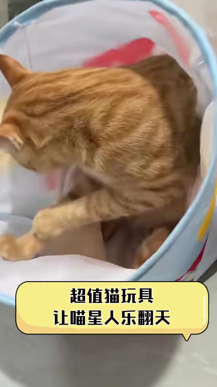 超值猫玩具,让喵星人乐翻天