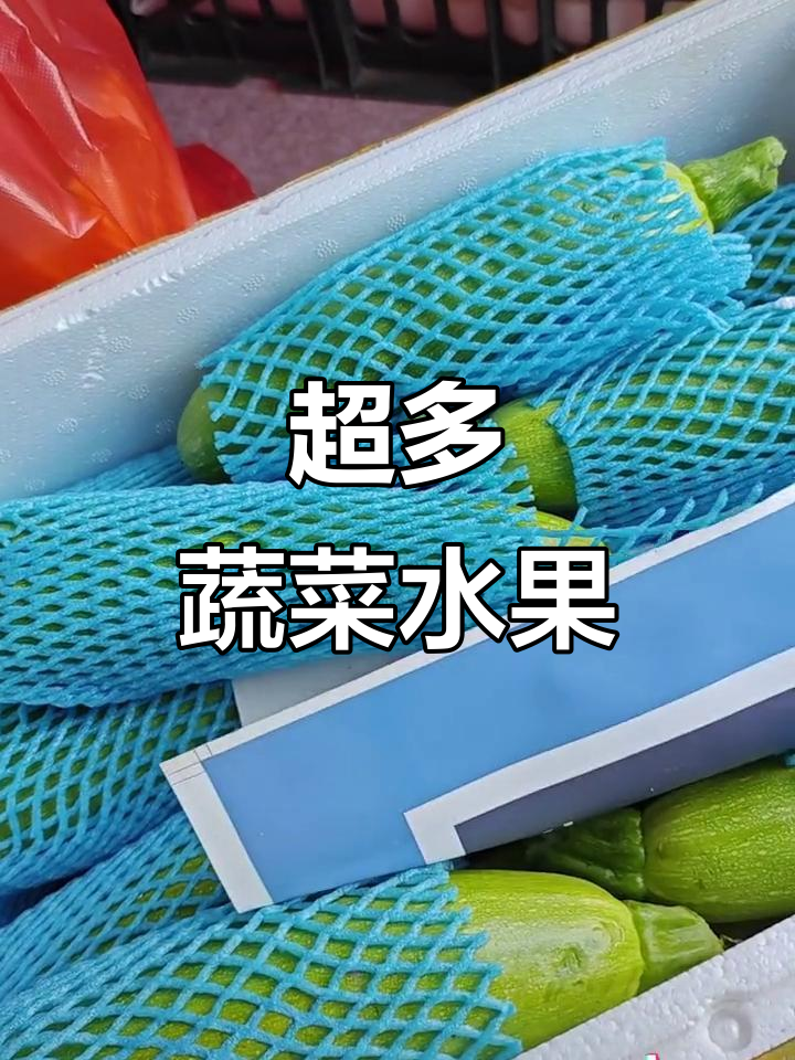 水果蔬菜大集合,黄瓜西红柿丝瓜一网打尽